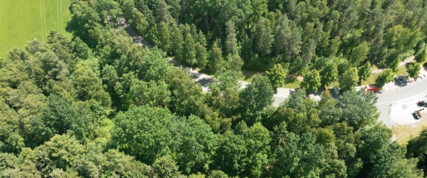 3 Grundstücke nahe Sibyllenbad – Ideal für Investoren aus dem Pflegeebereich und Gesundheitssektor in Bad Neualbenreuth | optimhome Immobilien Deutschland • Kaufen & Verkaufen Bild 3 Grundstücke nahe Sibyllenbad – Ideal für Investoren aus dem Pflegeebereich und Gesundheitssektor in Bad Neualbenreuth