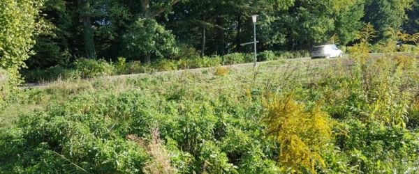 Herrliches, wunderschönes Erholungsgrundstück ! in Sukow-Levitzow | optimhome Immobilien Deutschland • Kaufen & Verkaufen Bild Herrliches, wunderschönes Erholungsgrundstück ! in Sukow-Levitzow