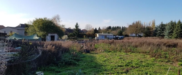 zwischen Güstrow & Rostock in Laage | optimhome Immobilien Deutschland • Kaufen & Verkaufen Bild zwischen Güstrow & Rostock in Laage