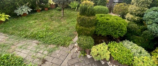 VERKAUFT ! Charmante EG Wohnung mit Gartennutzung in Sörgenloch in Sörgenloch | optimhome Immobilien Deutschland • Kaufen & Verkaufen Bild VERKAUFT ! Charmante EG Wohnung mit Gartennutzung in Sörgenloch in Sörgenloch