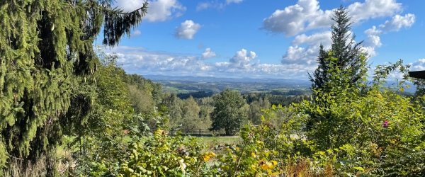 ***Der Natur so nahe - ruhiges und idyllisches Domizil*** in Windorf | optimhome Immobilien Deutschland • Kaufen & Verkaufen Bild ***Der Natur so nahe - ruhiges und idyllisches Domizil*** in Windorf