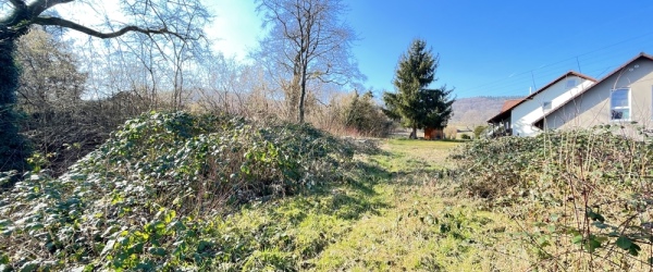 Ihr Platz zum Aufatmen – Ruhige Lage mit traumhaftem Fernblick über Collenberg in Collenberg | optimhome Immobilien Deutschland • Kaufen & Verkaufen Bild Ihr Platz zum Aufatmen – Ruhige Lage mit traumhaftem Fernblick über Collenberg in Collenberg