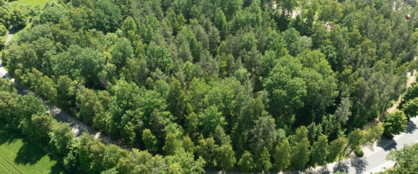 Investmentchance: 3 Grundstücke nahe Sibyllenbad für Pflege & Gesundheit in Bad Neualbenreuth | optimhome Immobilien Deutschland • Kaufen & Verkaufen Bild Investmentchance: 3 Grundstücke nahe Sibyllenbad für Pflege & Gesundheit in Bad Neualbenreuth