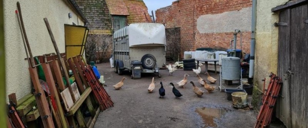 ca. 7.km. von Laage... knapp 20 km. nach Güstrow in laage-Liessow | optimhome Immobilien Deutschland • Kaufen & Verkaufen Bild ca. 7.km. von Laage... knapp 20 km. nach Güstrow in laage-Liessow