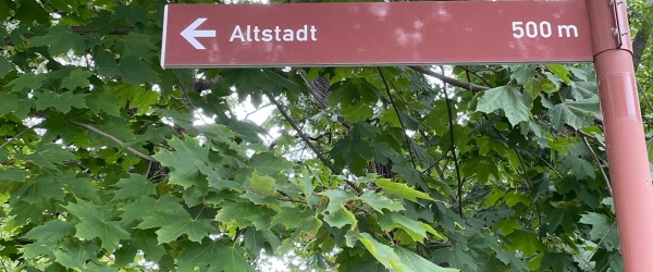 ***Standort für Ihre Investition in bester Lage*** in Zwickau | optimhome Immobilien Deutschland • Kaufen & Verkaufen Bild ***Standort für Ihre Investition in bester Lage*** in Zwickau