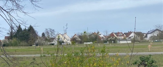 Bild Bauplatz - erschlossen - in herrlicher Feldrandlage in Lachen-Speyerdorf / Neustadt / W.