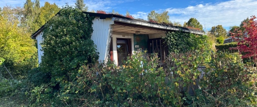 Charmantes, kleines Einfamilienhaus auf eigenem Grundstück in der Klosterstadt Dobbertin, nahe von Dobbertiner See! in Dobbertin | optimhome Immobilien Deutschland • Kaufen & Verkaufen Bild Charmantes, kleines Einfamilienhaus auf eigenem Grundstück in der Klosterstadt Dobbertin, nahe von Dobbertiner See! in Dobbertin