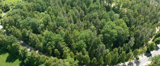 Investmentchance: 3 Grundstücke nahe Sibyllenbad für Pflege & Gesundheit in Bad Neualbenreuth | optimhome Immobilien Deutschland • Kaufen & Verkaufen Bild Investmentchance: 3 Grundstücke nahe Sibyllenbad für Pflege & Gesundheit in Bad Neualbenreuth